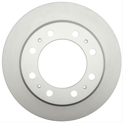 Buy Raybestos 780733FZN Rear Brake Discs