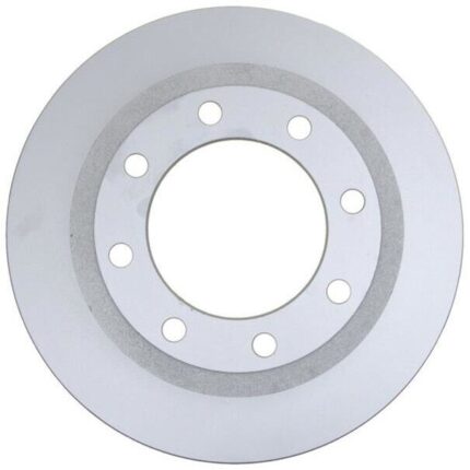 Buy Raybestos 681017FZN Rear Brake Discs